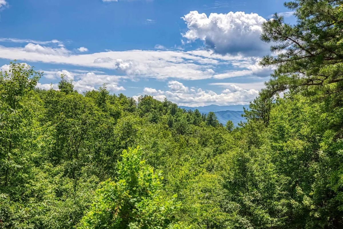 A panoramic view of lush green trees, distant mountains, and a blue sky with clouds. The scene conveys the natural beauty and serenity of the Smoky Mountains, ideal for outdoor adventures like hiking and birdwatching.