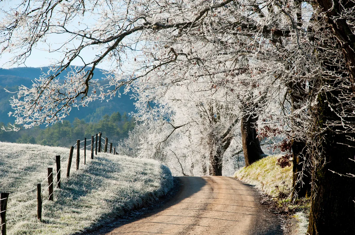 A serene exterior scene featuring frost-covered trees, a winding dirt road, and a rustic fence line. The early morning light suggests the start of a day, while the tranquil landscape hints at quiet strolls and peaceful exploration in a private, natural setting.