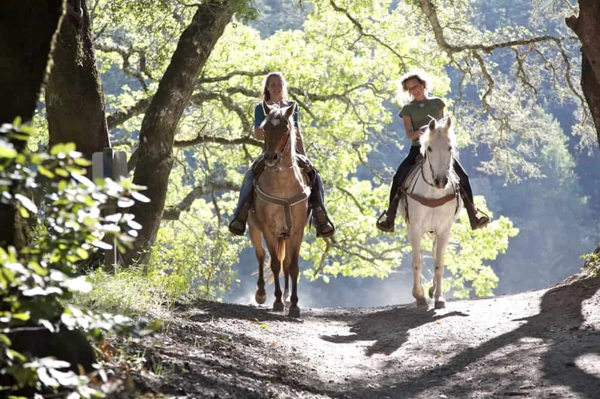 Two women on horseback ride through a sun-dappled forest path, surrounded by lush greenery and the soft glow of sunset filtering through the trees. The scene captures the feeling of adventure and tranquility that comes with exploring the Smoky Mountains on horseback.