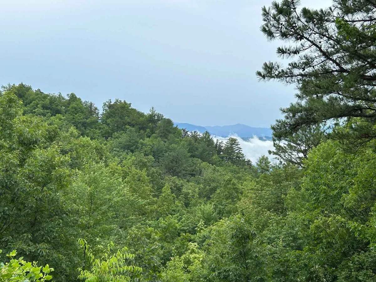 A sweeping view of dense mountain greenery and a distant mountain range beneath low-hanging clouds. The landscape exudes natural beauty and tranquility, suggesting a wealth of hiking trails and wildlife just waiting to be discovered.